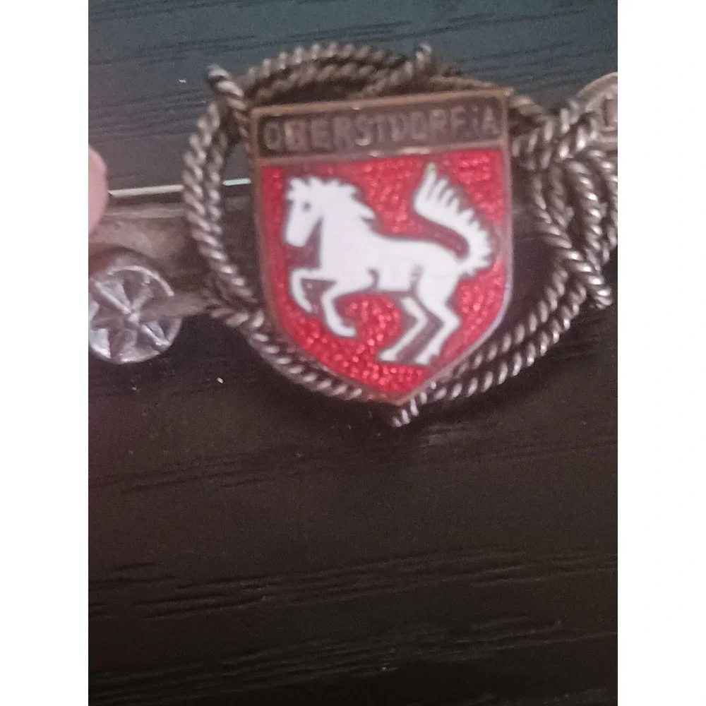 Vtg Silver Enamel Oberstdorf Skiing Pin W Germany 10th Special Forces Style Tro